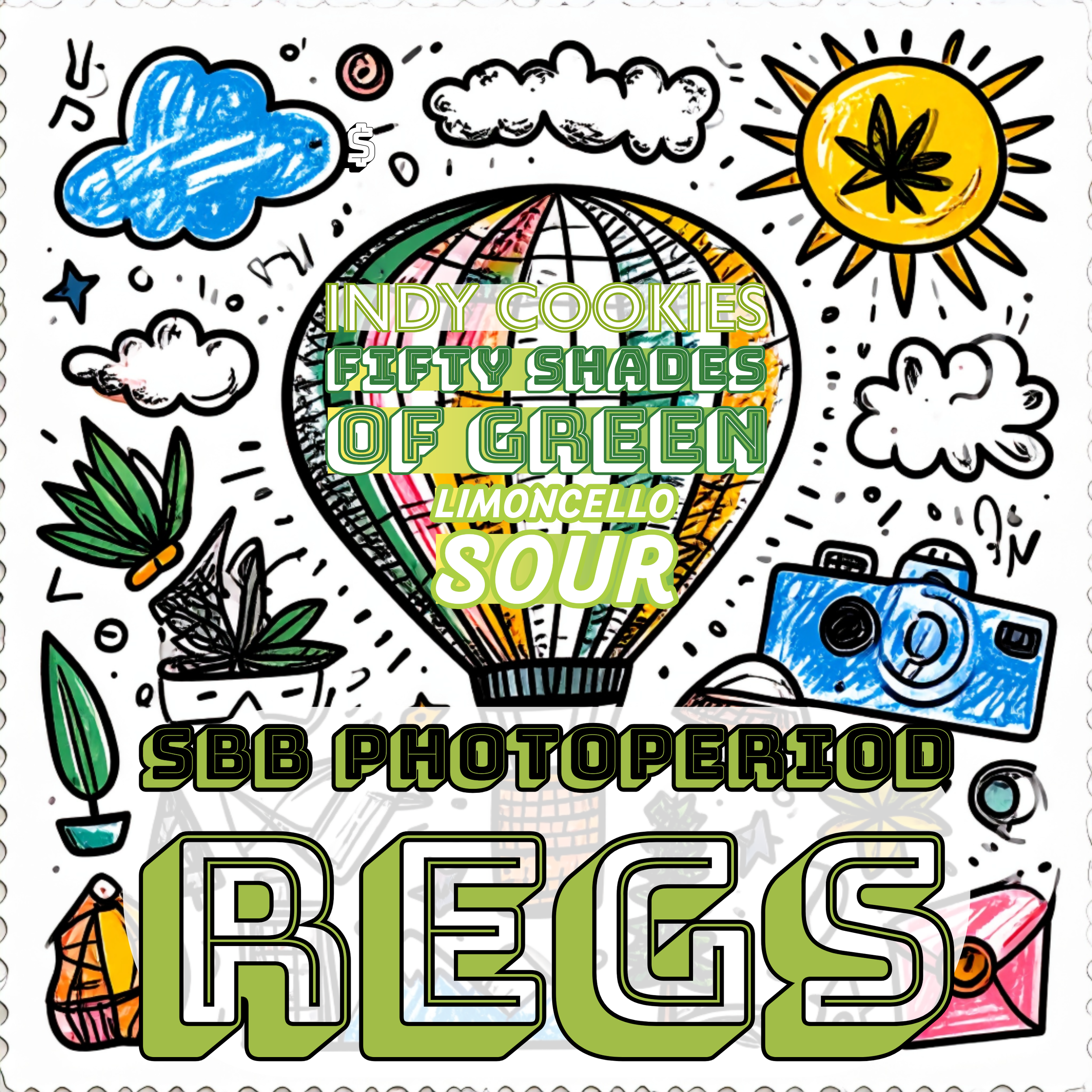PHOTO REGS