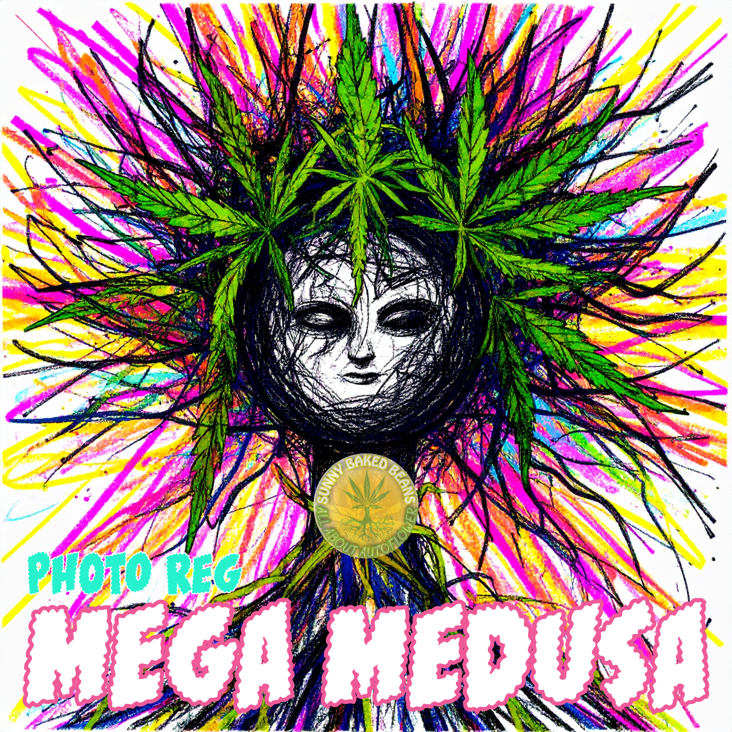 MEGA MEDUSA