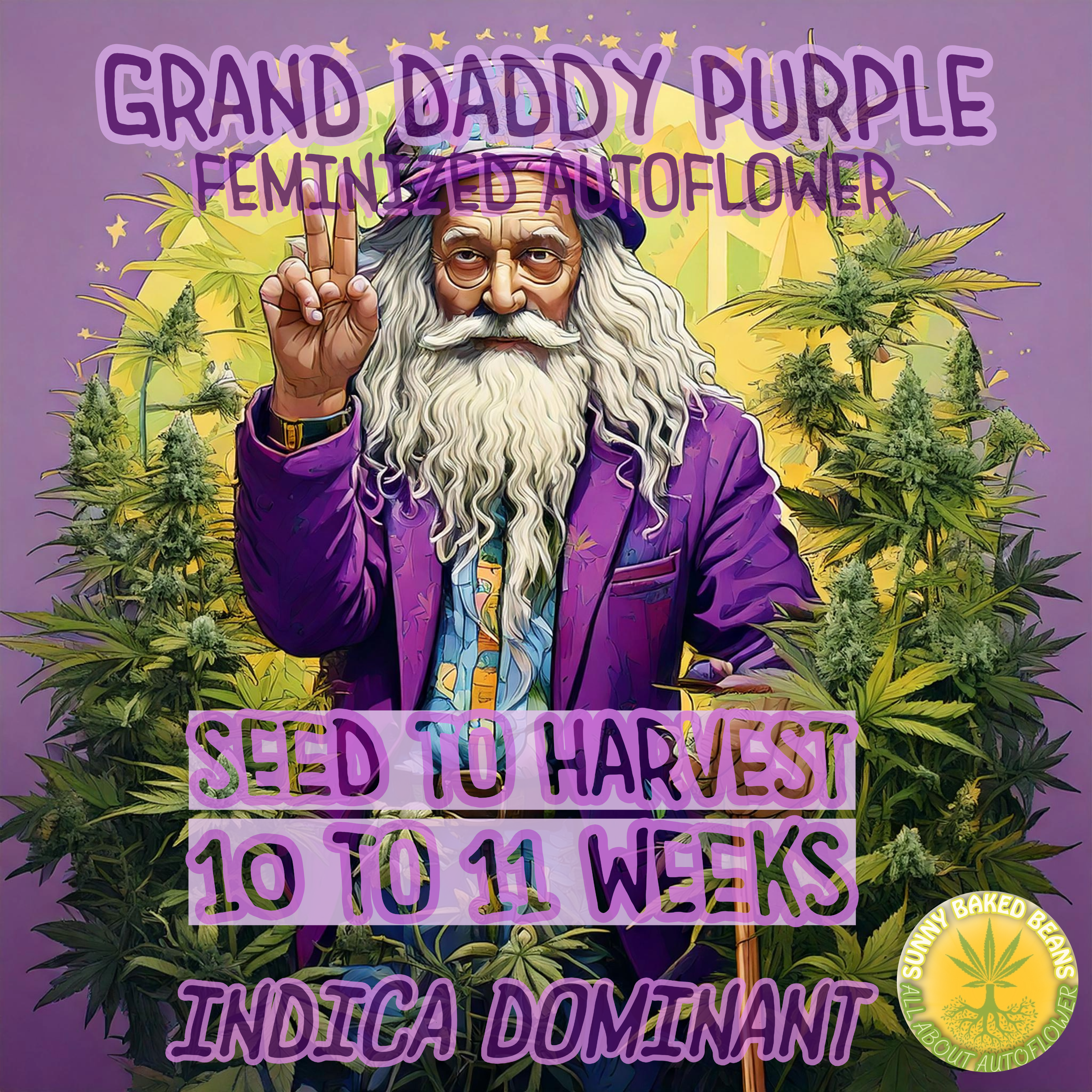 Grand Daddy Purple