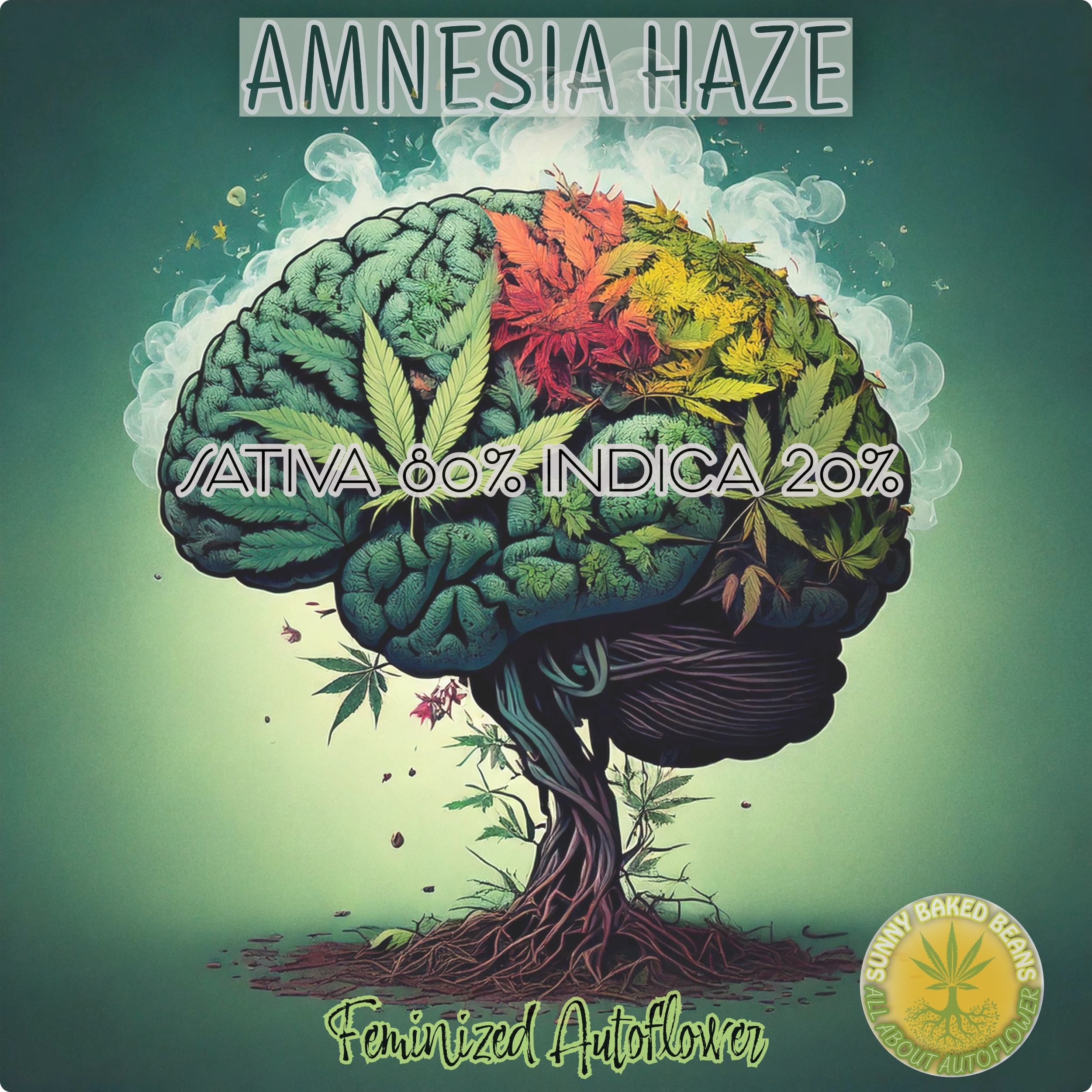Amnesia Haze
