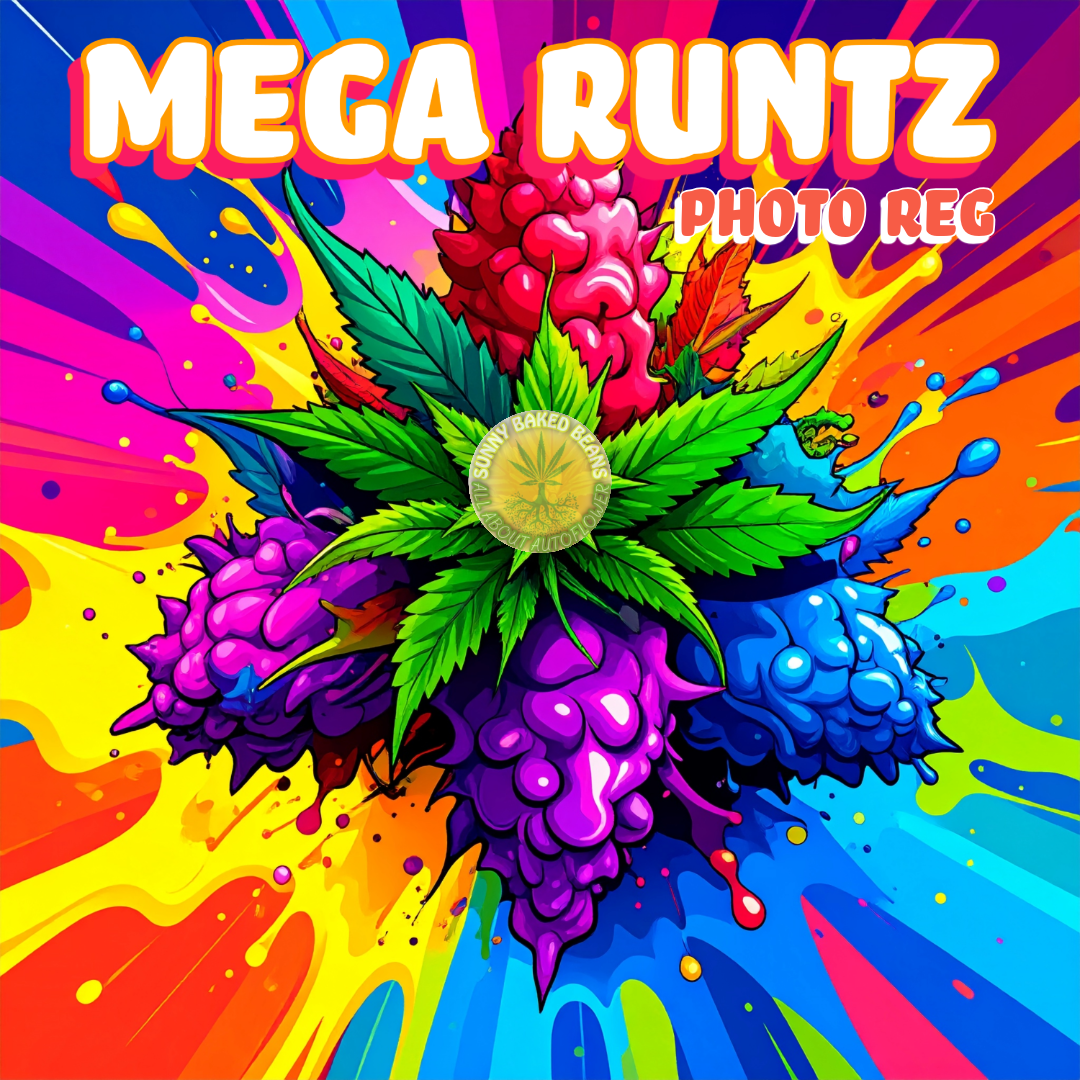 MEGA RUNTZ