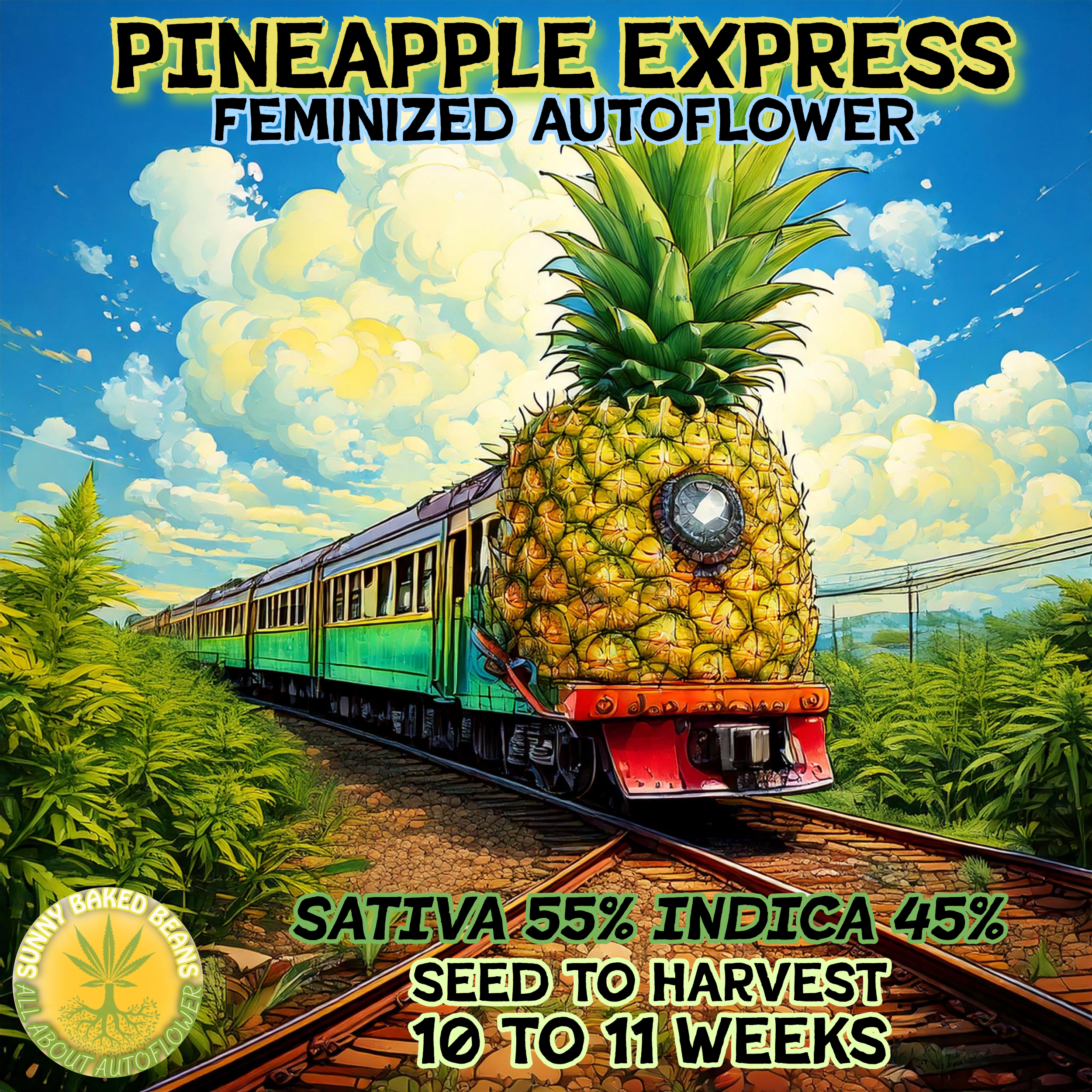 Pineapple Express