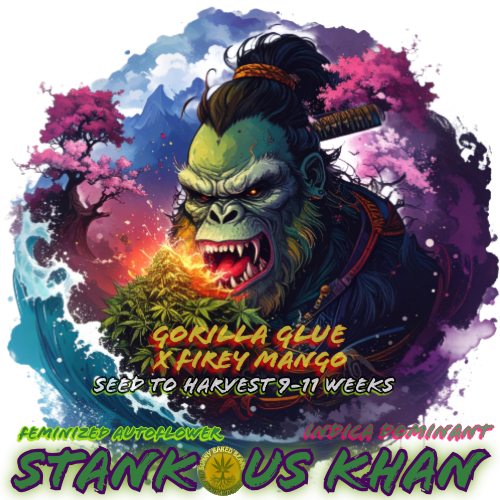 Stankous Khan