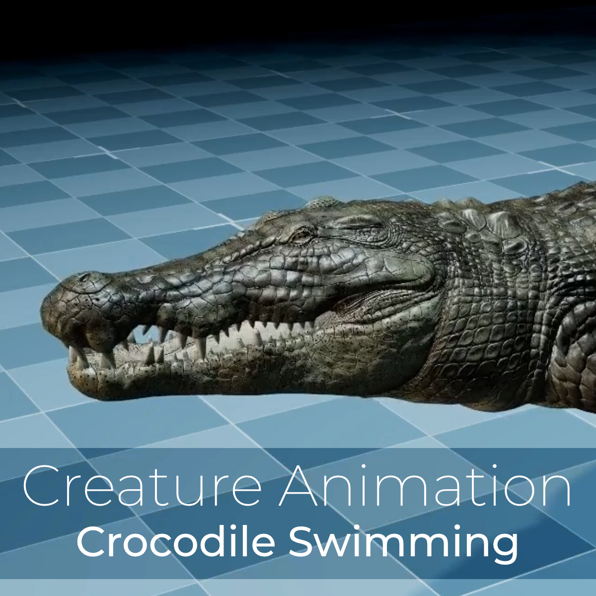 Crocodile - Swimming