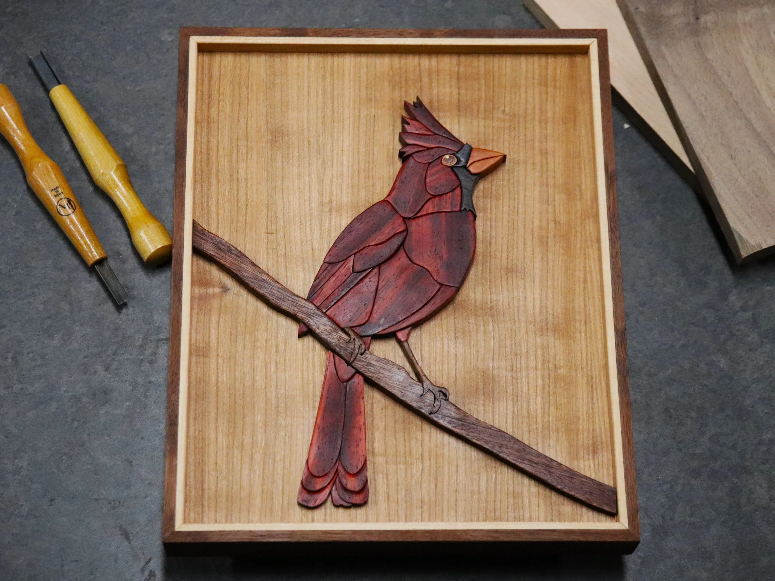 Northern Cardinal