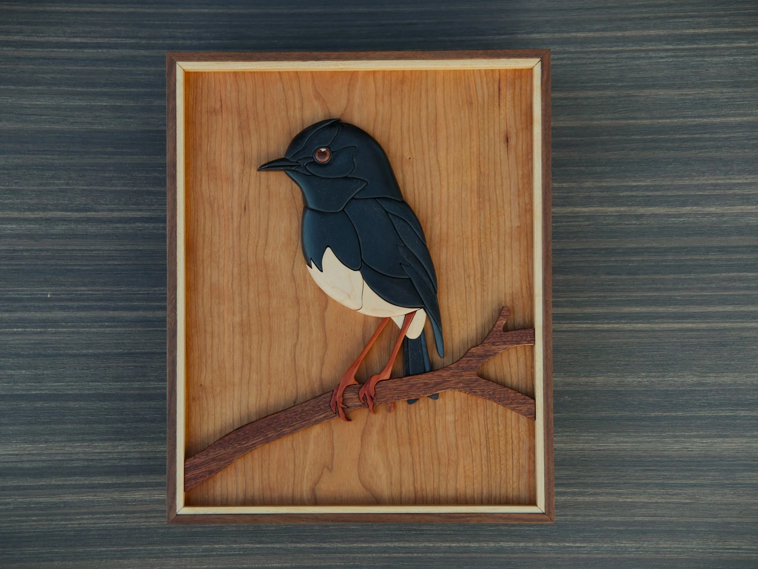 North Island Robin (Dark)