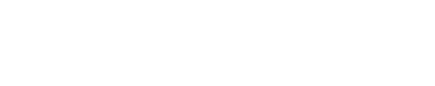 THE TOLL HOUSE