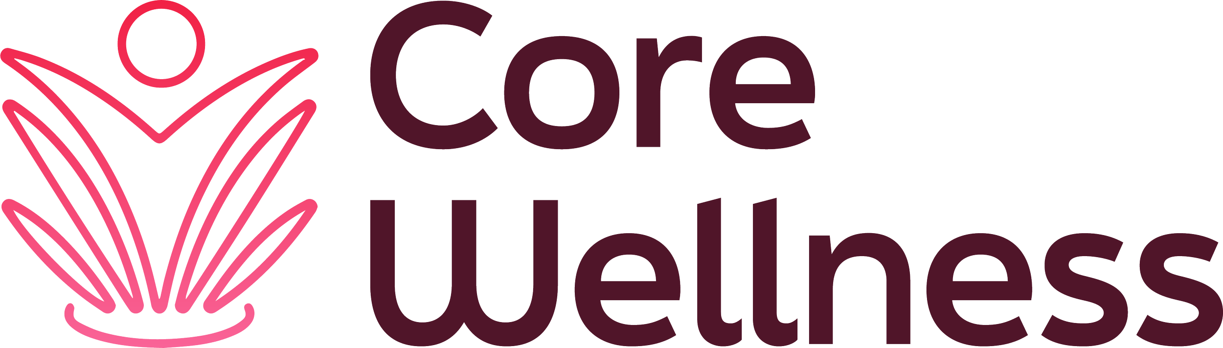 Logo with a stylized pink lotus flower and the words 'Core Wellness' written beside it.