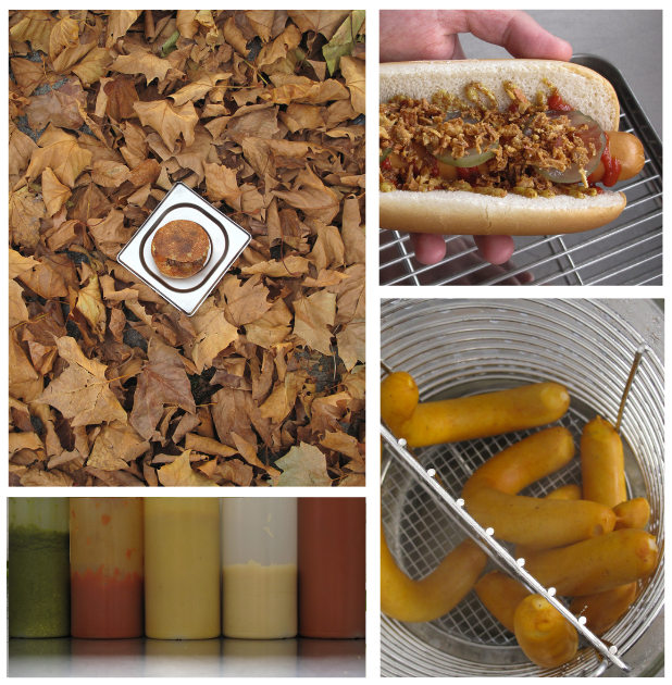 A collection of different objects including dried leaves with a small object on top, a hot dog with toppings, a basket of yellow hot dog sausages, and a row of colored sauces.
