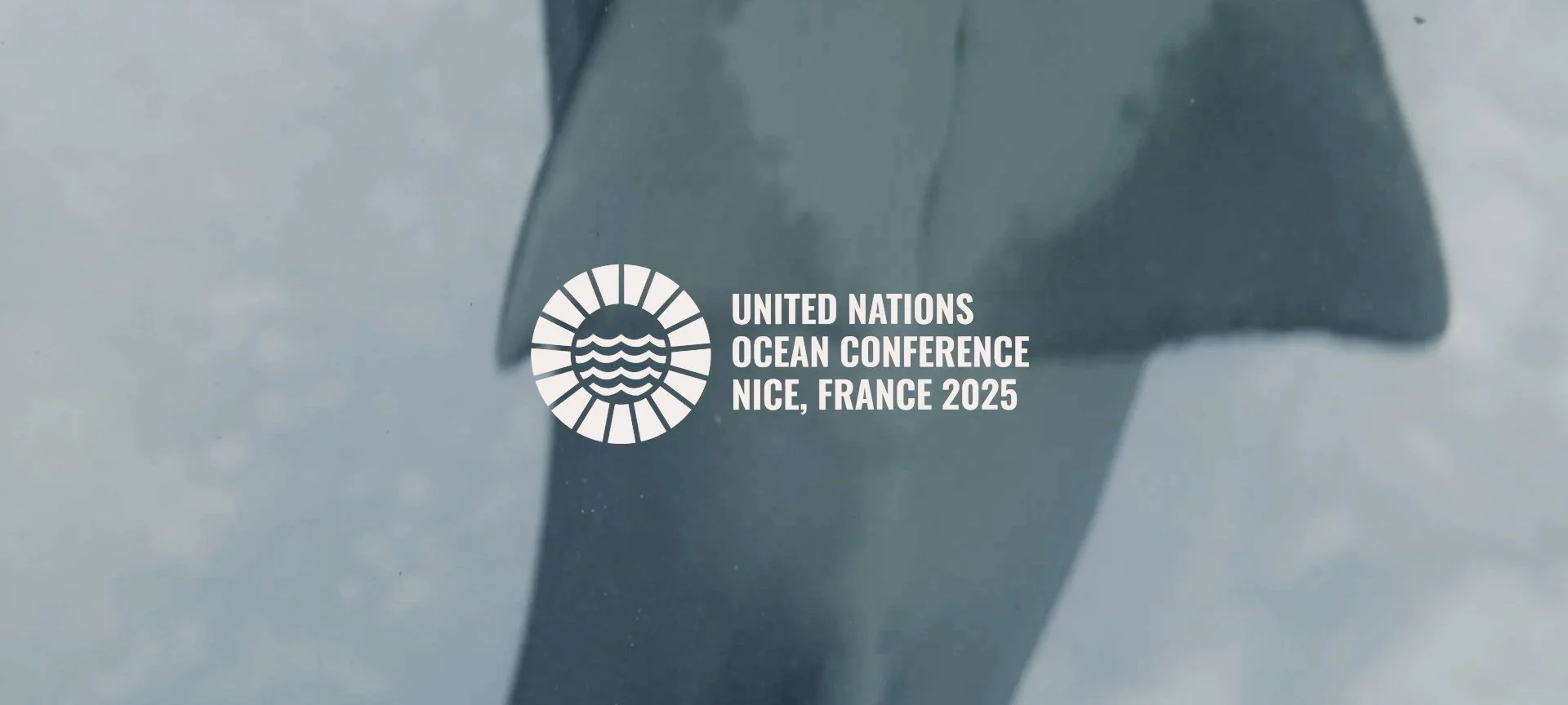 FEMALE VOICES final.00_01_15_24.Still013.jpg