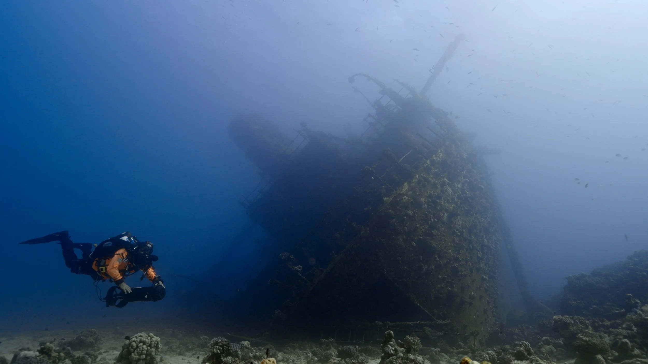 Exploration and Conservation