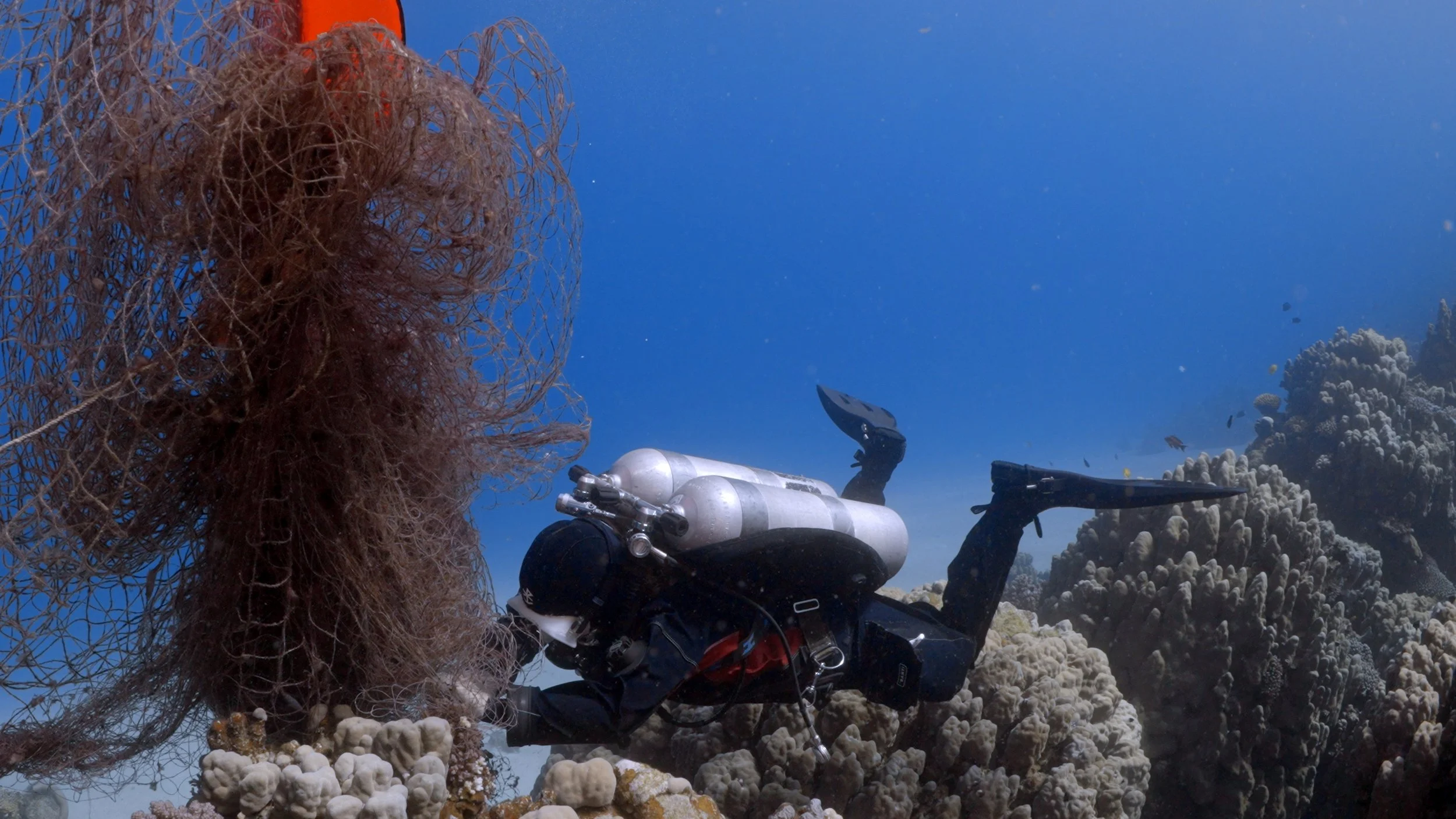 On a Mission for Healthy Seas