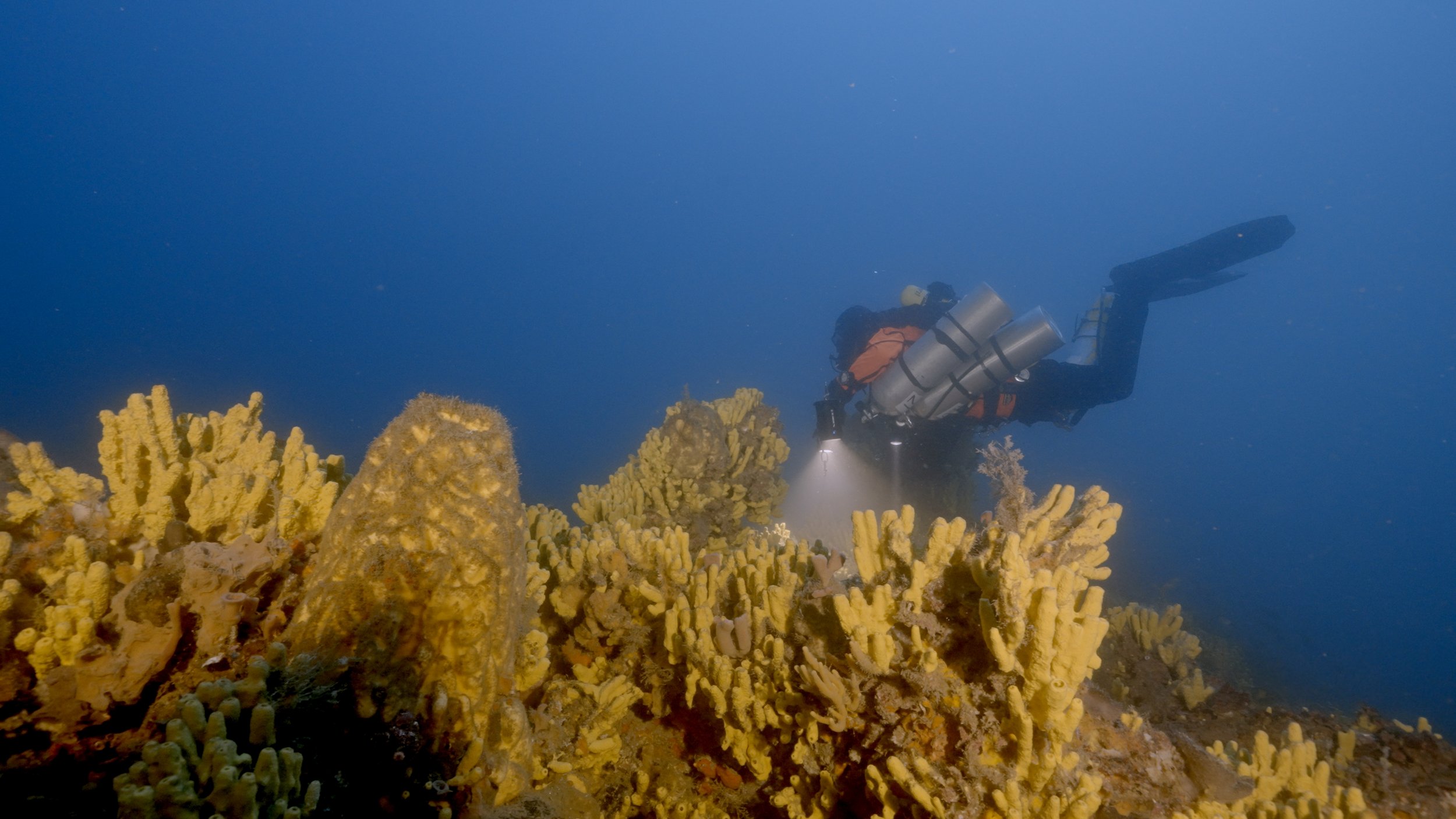 Midilli_Gallipoli_Sameh Sokar_Gallipoli Wrecks Dive Centre 4.jpg