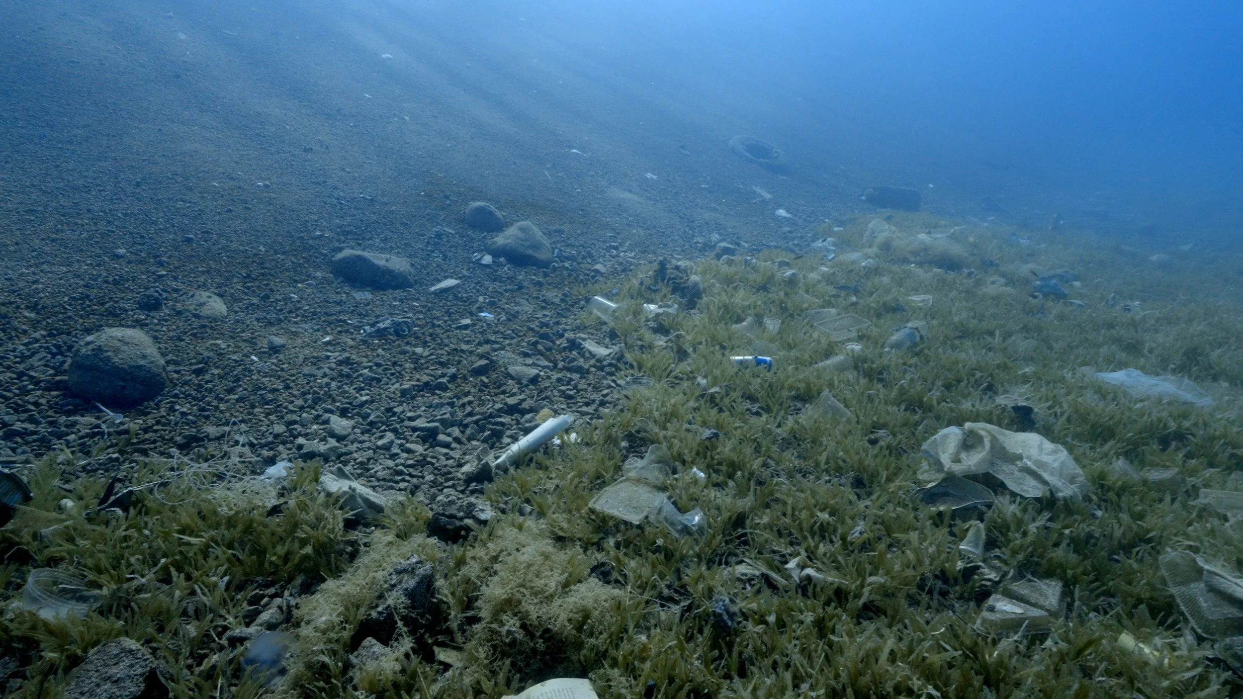 Lagoona_Red Sea_Mission_Healthy Seas.jpg