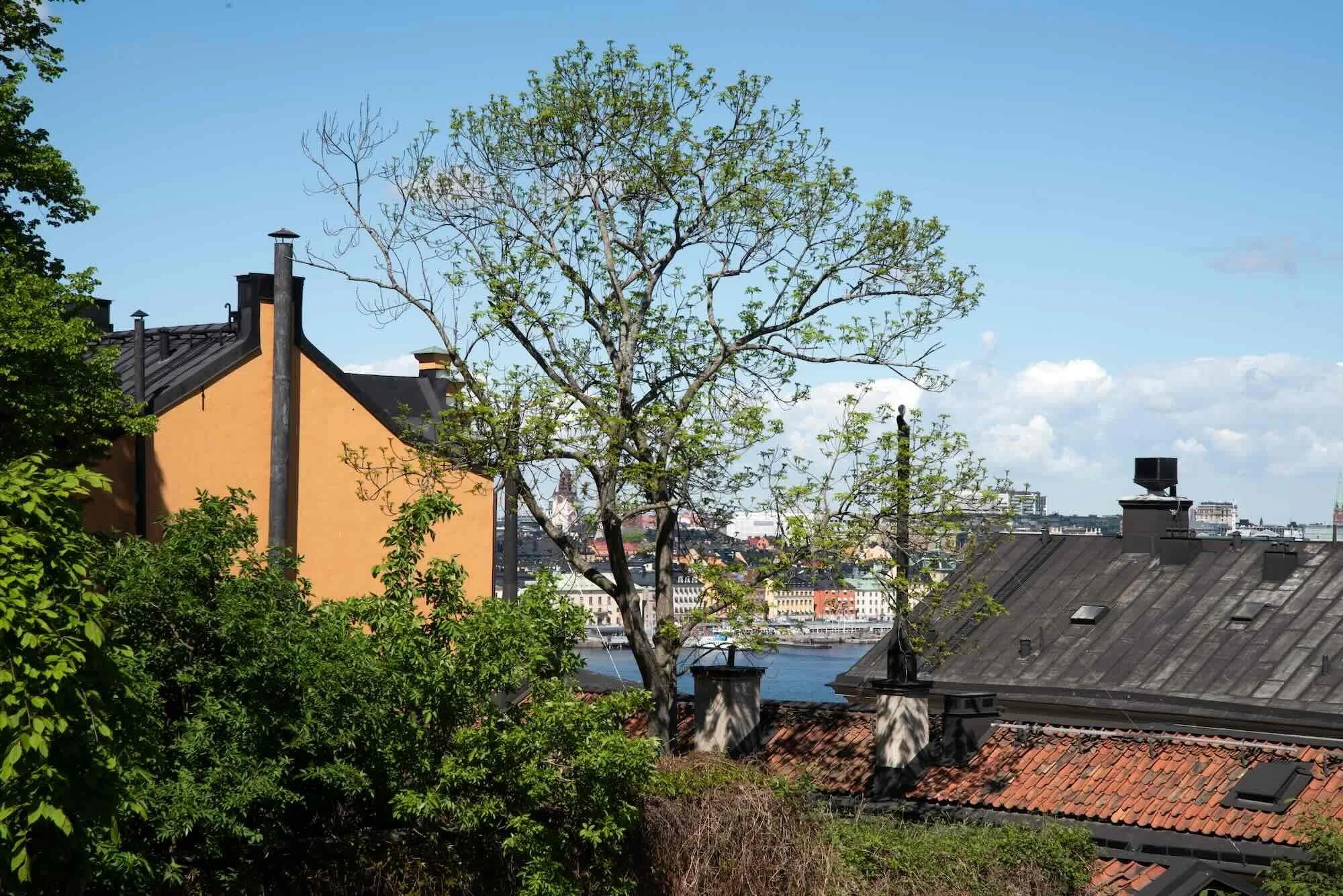 Vy från Södermalm mot gamla stan. Paul Howard psykolog