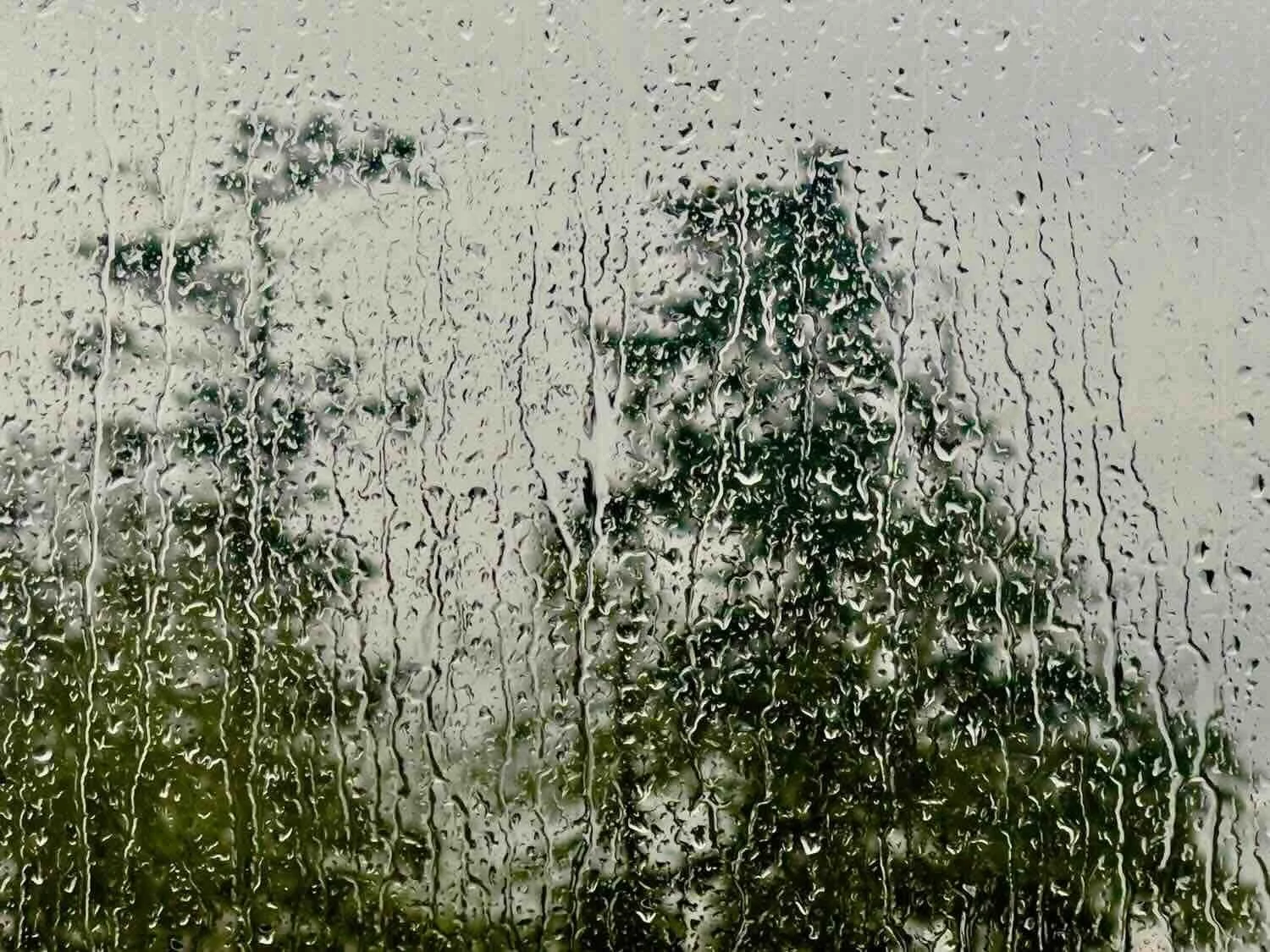 Nedstämd, regn mot fönster. Paul Howard, psykolog.