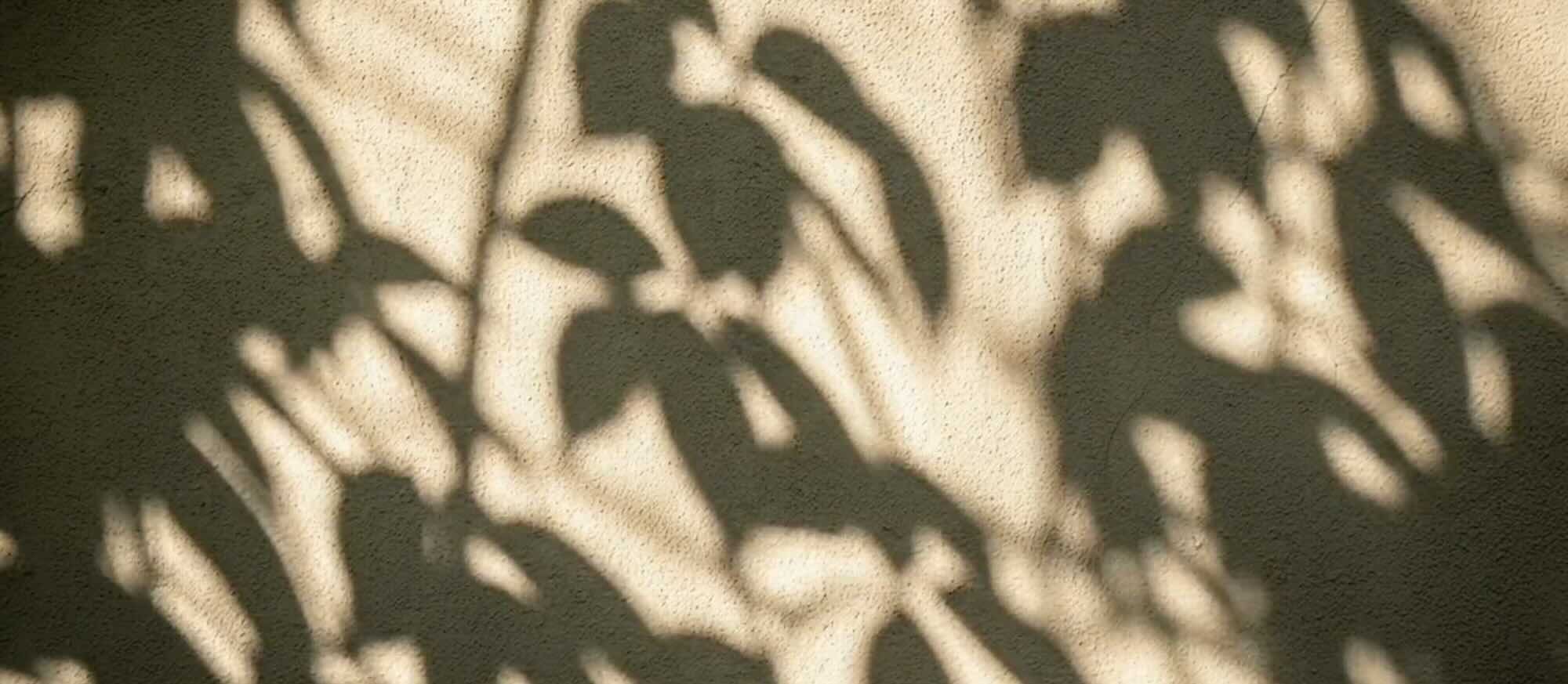 fallback-banner-paul-howard.jpeg