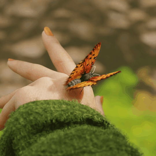 touch