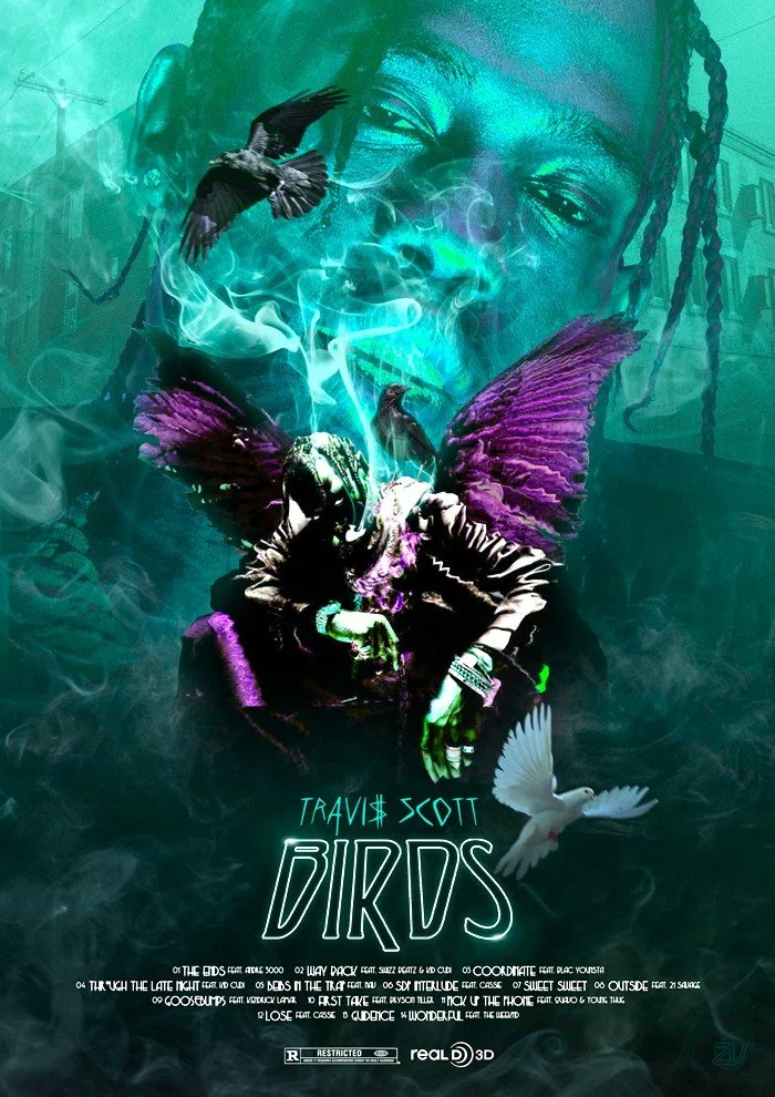 BIRDS.jpg