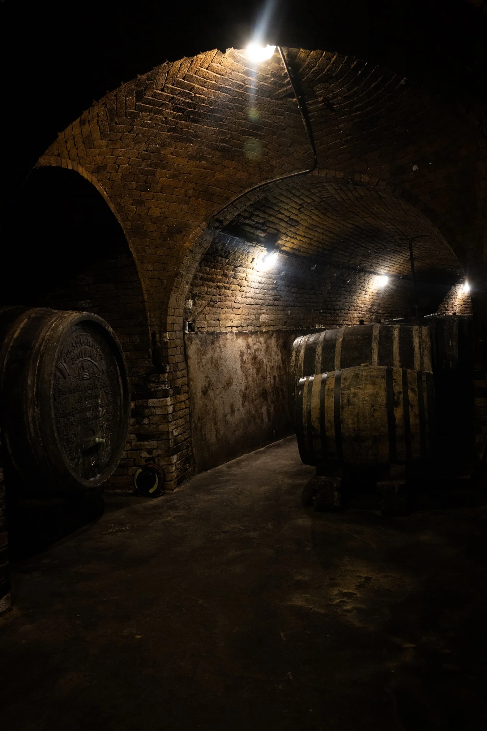 Ein Weinkeller mit Backsteinbögen, großen Holzfässern und Schatten, beleuchtet von mehreren Lampen an der Decke und den Wänden.