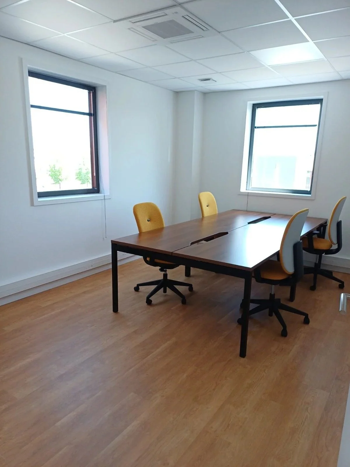 Bureau fermé et lumineux avec deux fenêtres, deux tables en bois foncé réunies, chaises jaunes et grises, parquet clair.