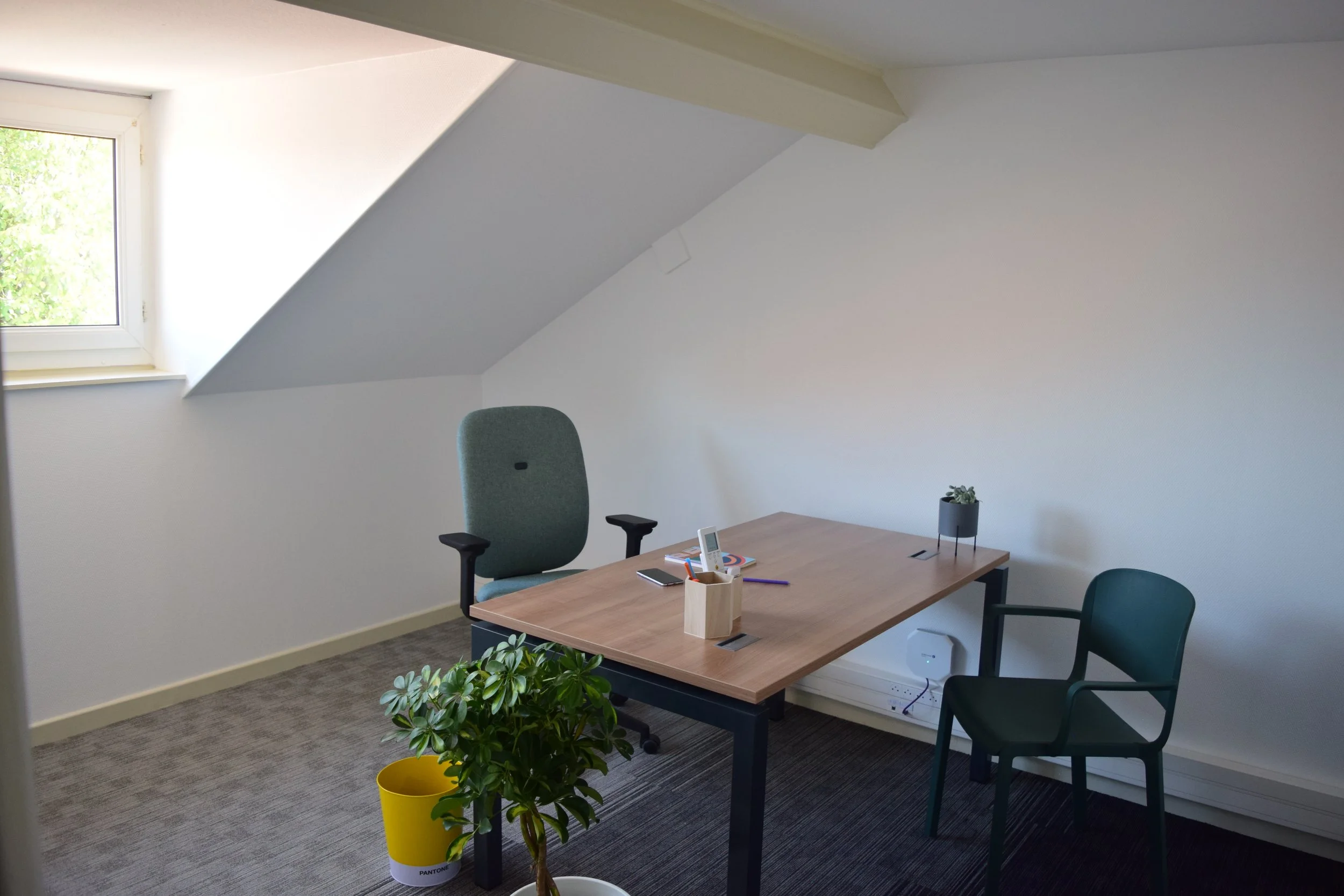 Vue d'un bureau minimaliste avec un bureau en bois, une chaise de bureau, deux plantes en pot (une verte dans un pot jaune et une autre aussi verte dans un autre pot), et une fenêtre laissant entrer la lumière naturelle. L'environnement est simple et moderne.