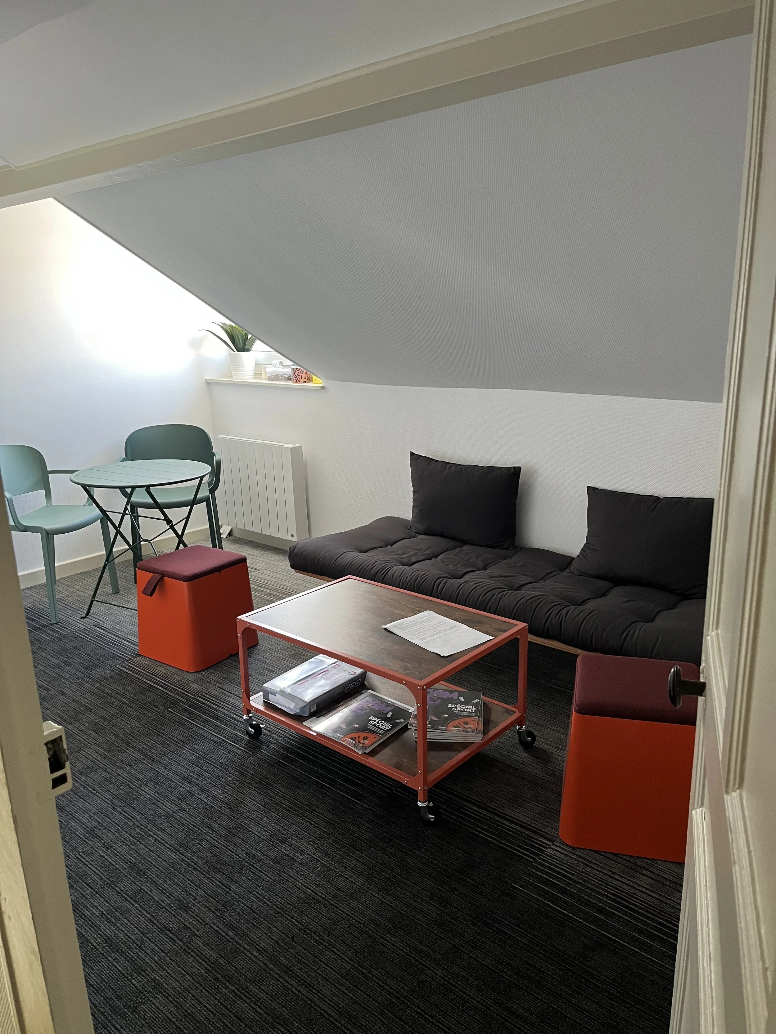 Une salle de séjour moderne avec un canapé noir, une table basse rouge, une table et des chaises vertes, un tapis sombre, des plantes en pot, et une fenêtre laissant entrer la lumière naturelle.