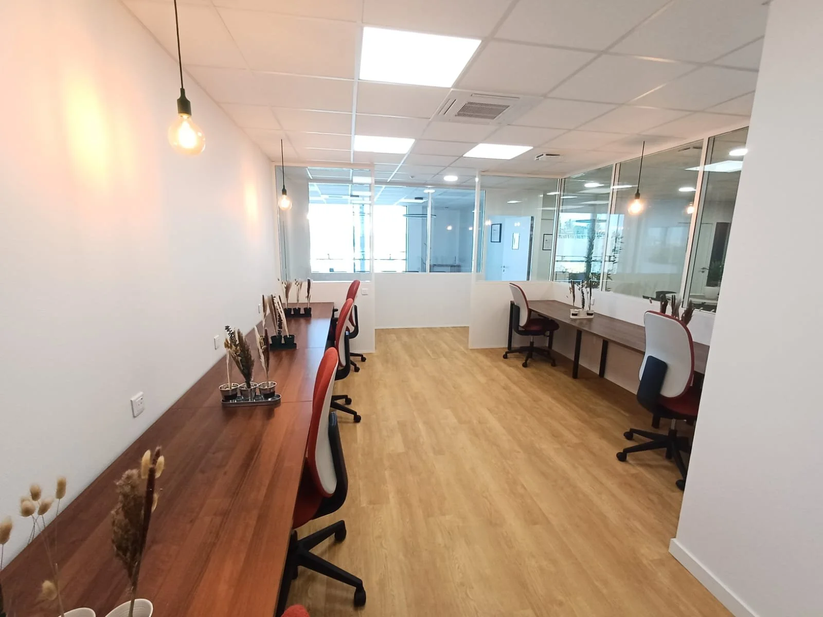 Open space avec deux rangées de bureaux en bois, chaises rouge et blanc, suspensions à ampoule apparente et cloisons vitrées donnant sur d'autres espaces.