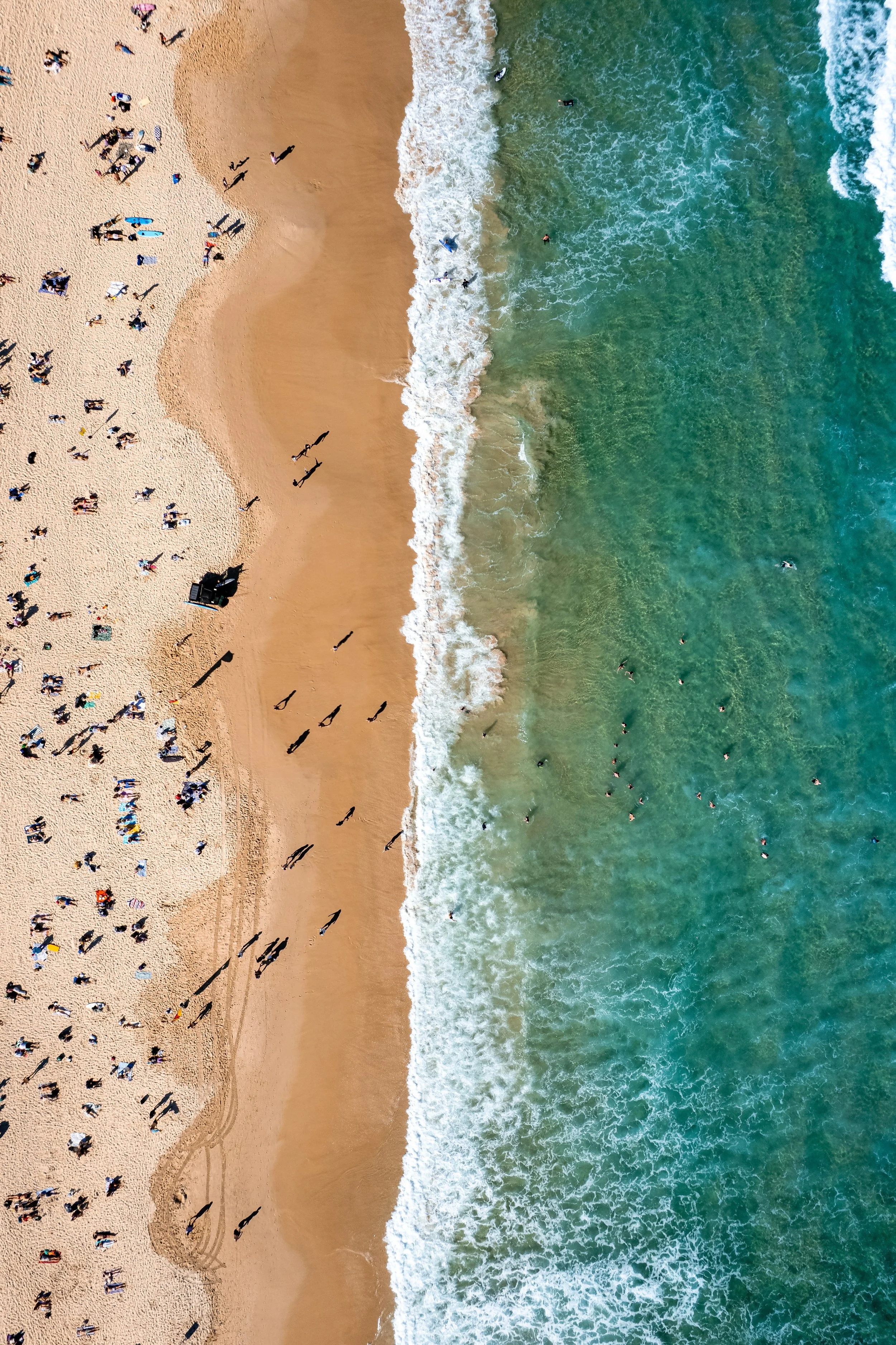 Bondi Beach