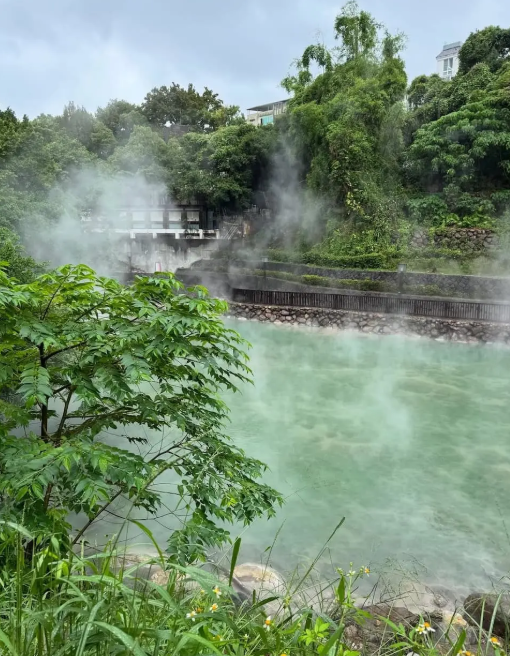 View of a steaming hot spring surrounded by green trees and bushes, with some buildings visible in the background.