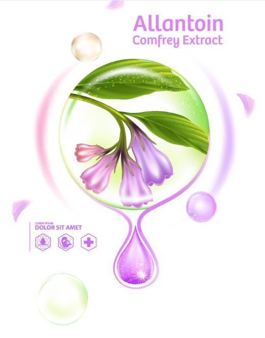 Illustration of Allantoin and Comfrey extract with a plant image, surrounded by circles and icons.