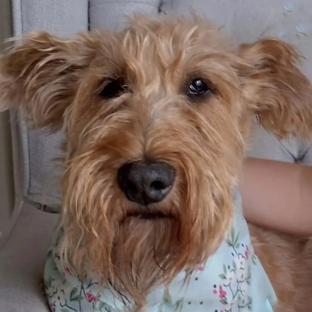 Colette website 58.jpg