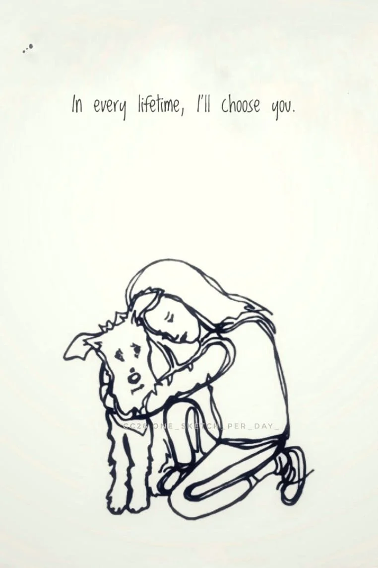 Colette website 67.jpg