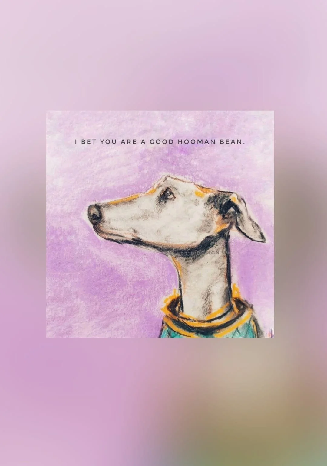 Colette website 101.jpg