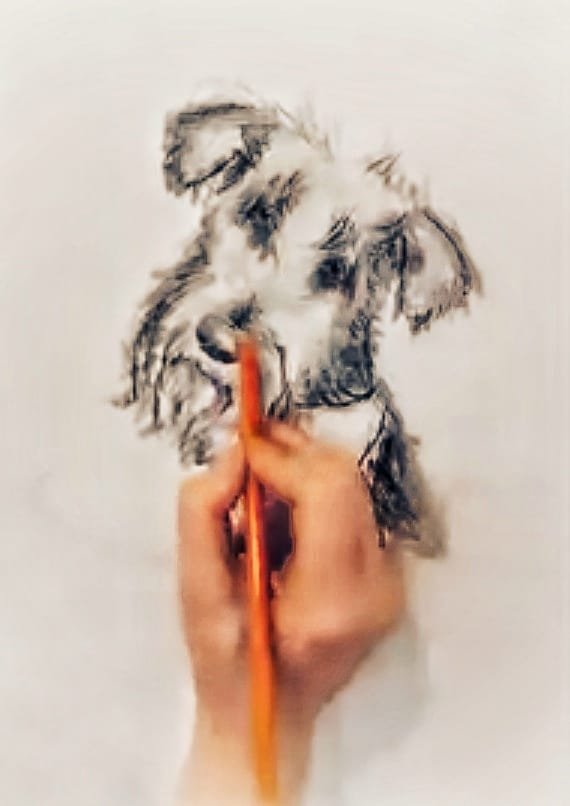 Colette website 59.jpg