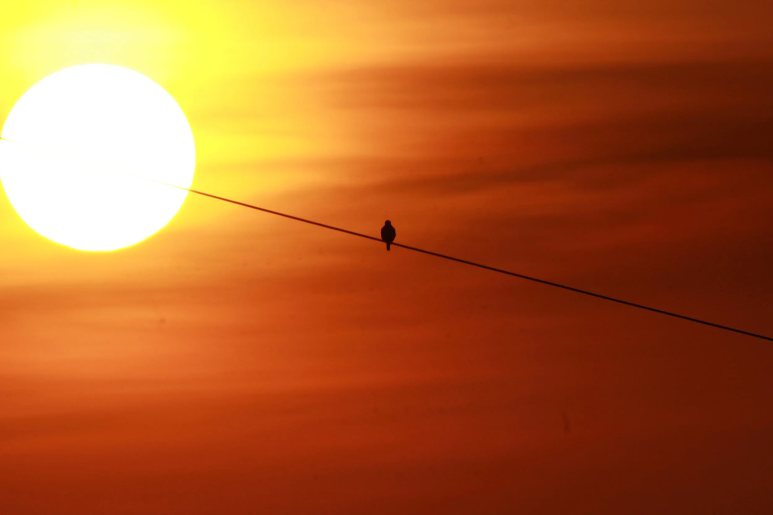 Solitude - A Medicine