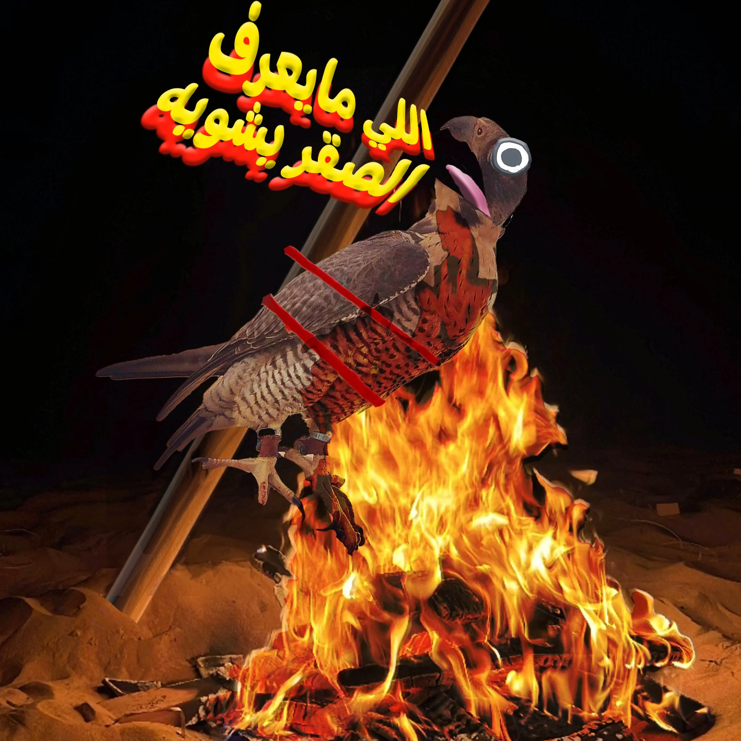 Cover Design