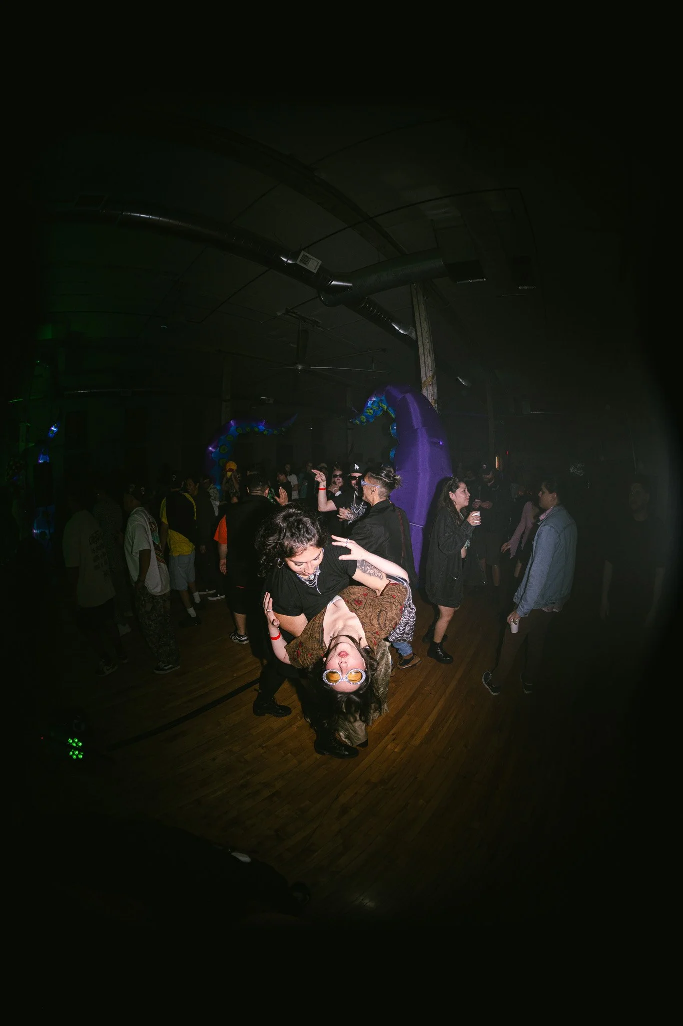 DSC01104.jpg