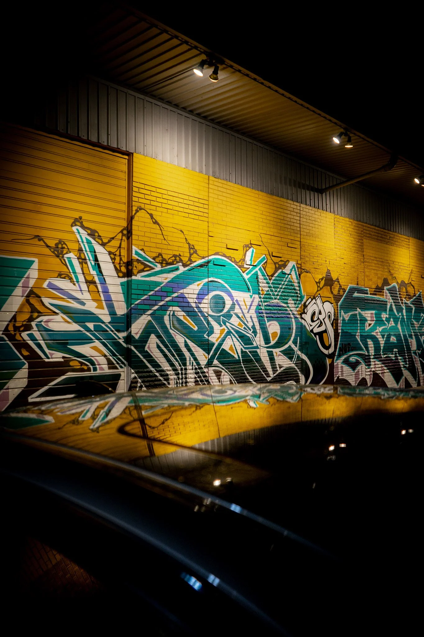 DSC02782.jpg