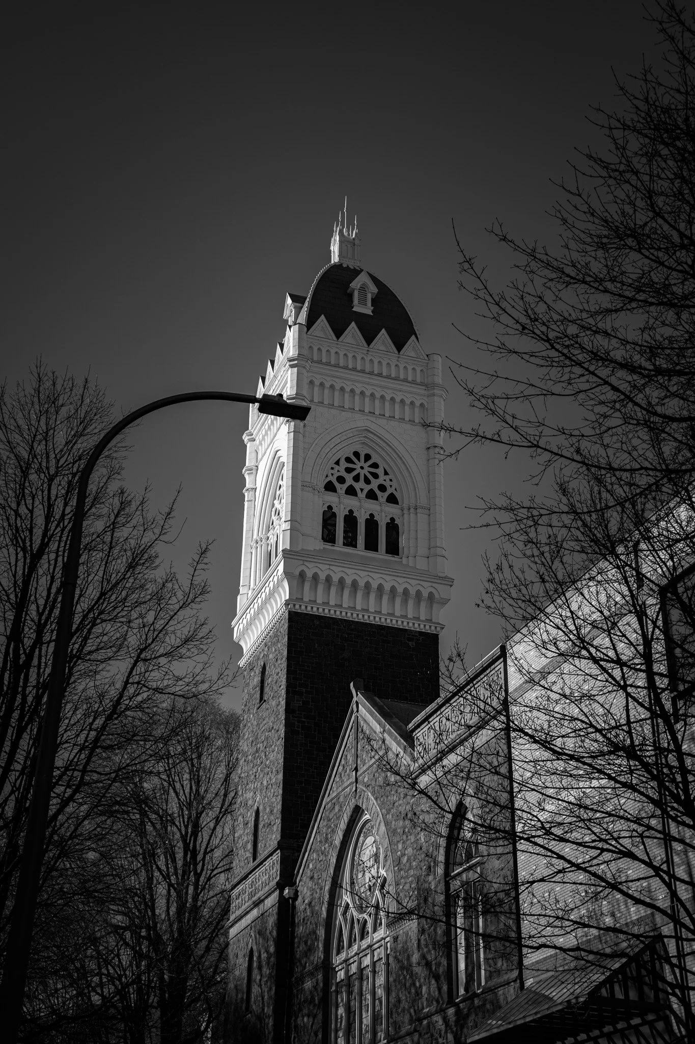 DSC03104.jpg