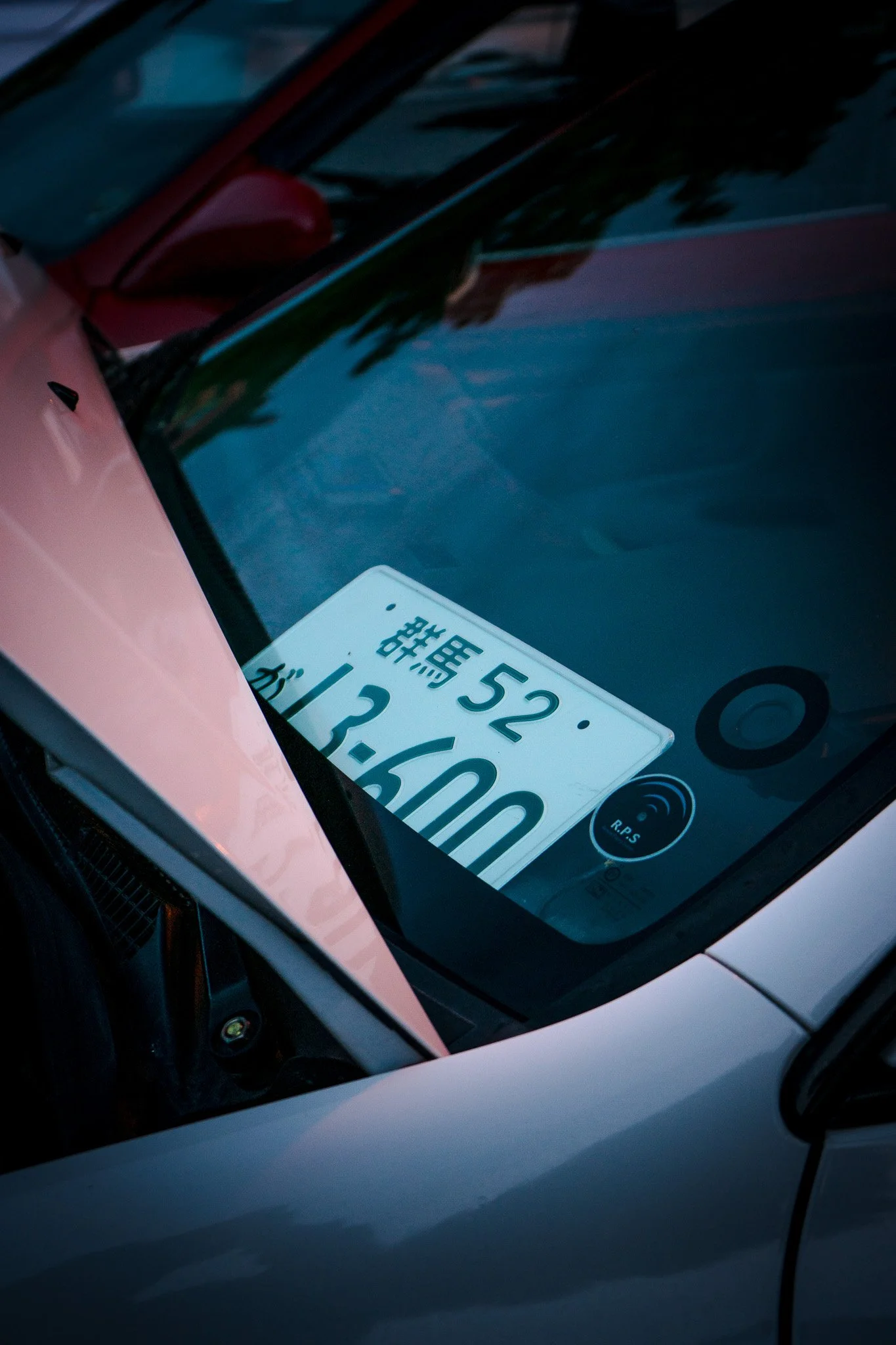 DSC00867.jpg