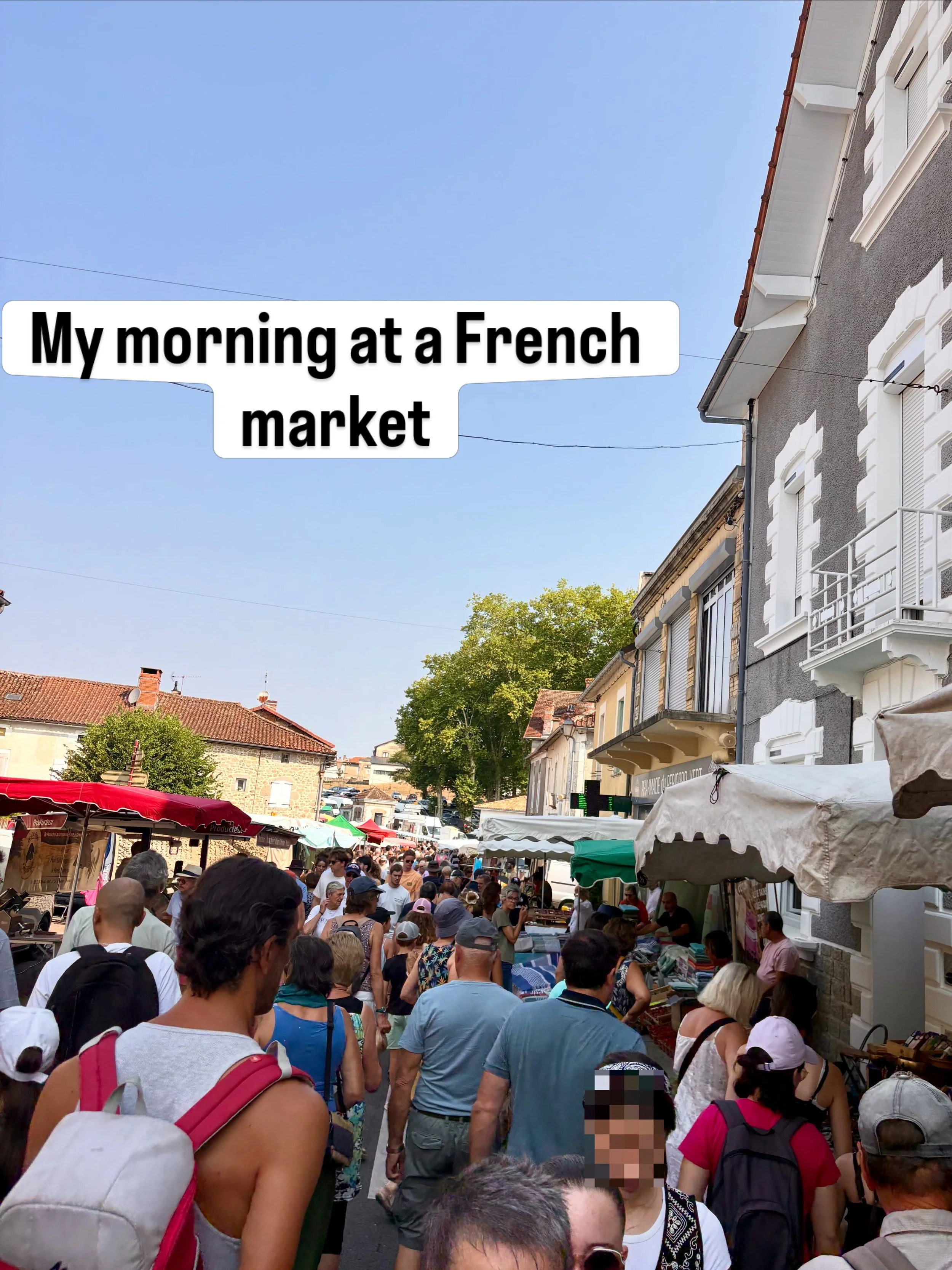 A French market is full of temptations. The trick is knowing what to leave behind.

The colourful tea towels looked wonderfully vintage, but they were modern reproductions, so I left them for someone else.

The wicker baskets were gorgeous too, but t