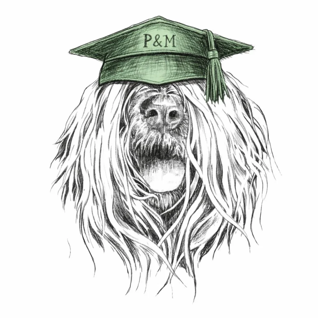The Paw &amp; Mind