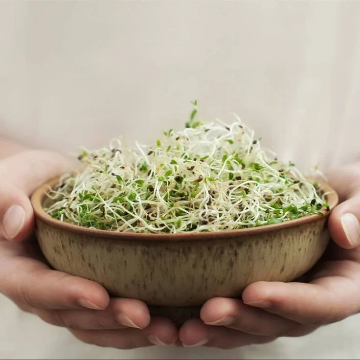 Estrategias para cuidar tu salud en primavera