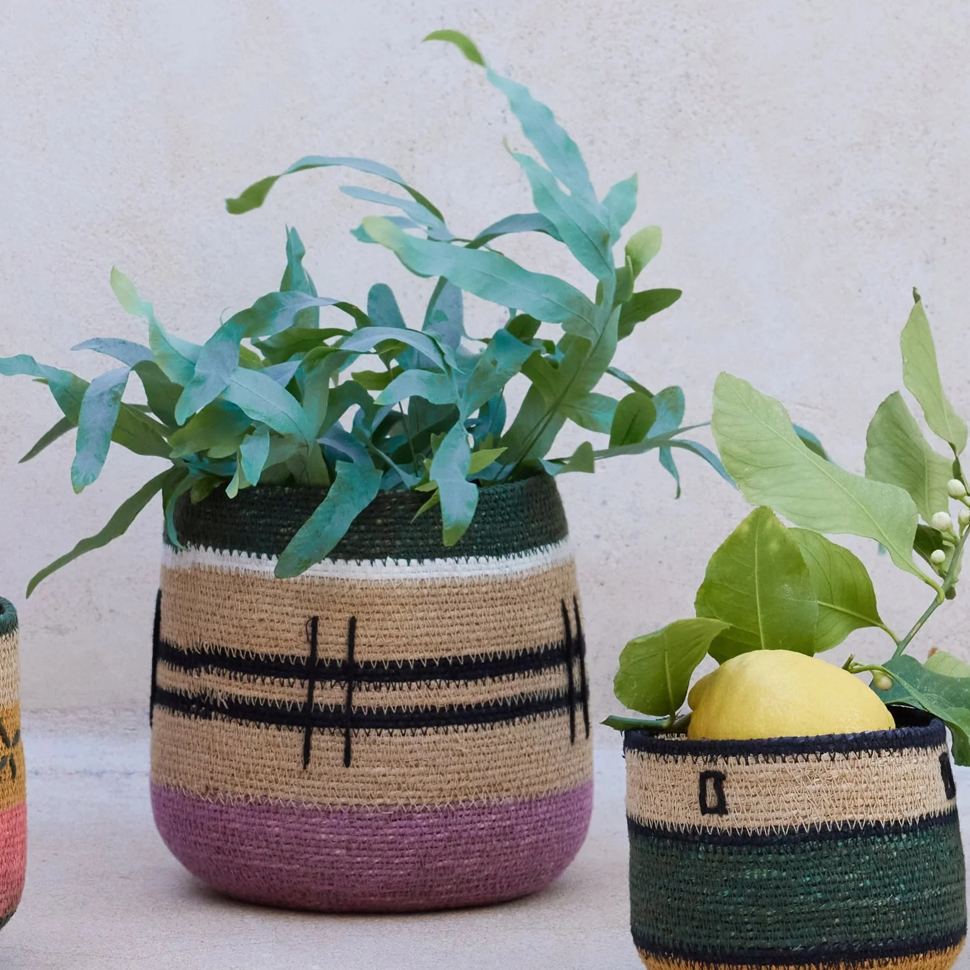 Basket Natural Purple
