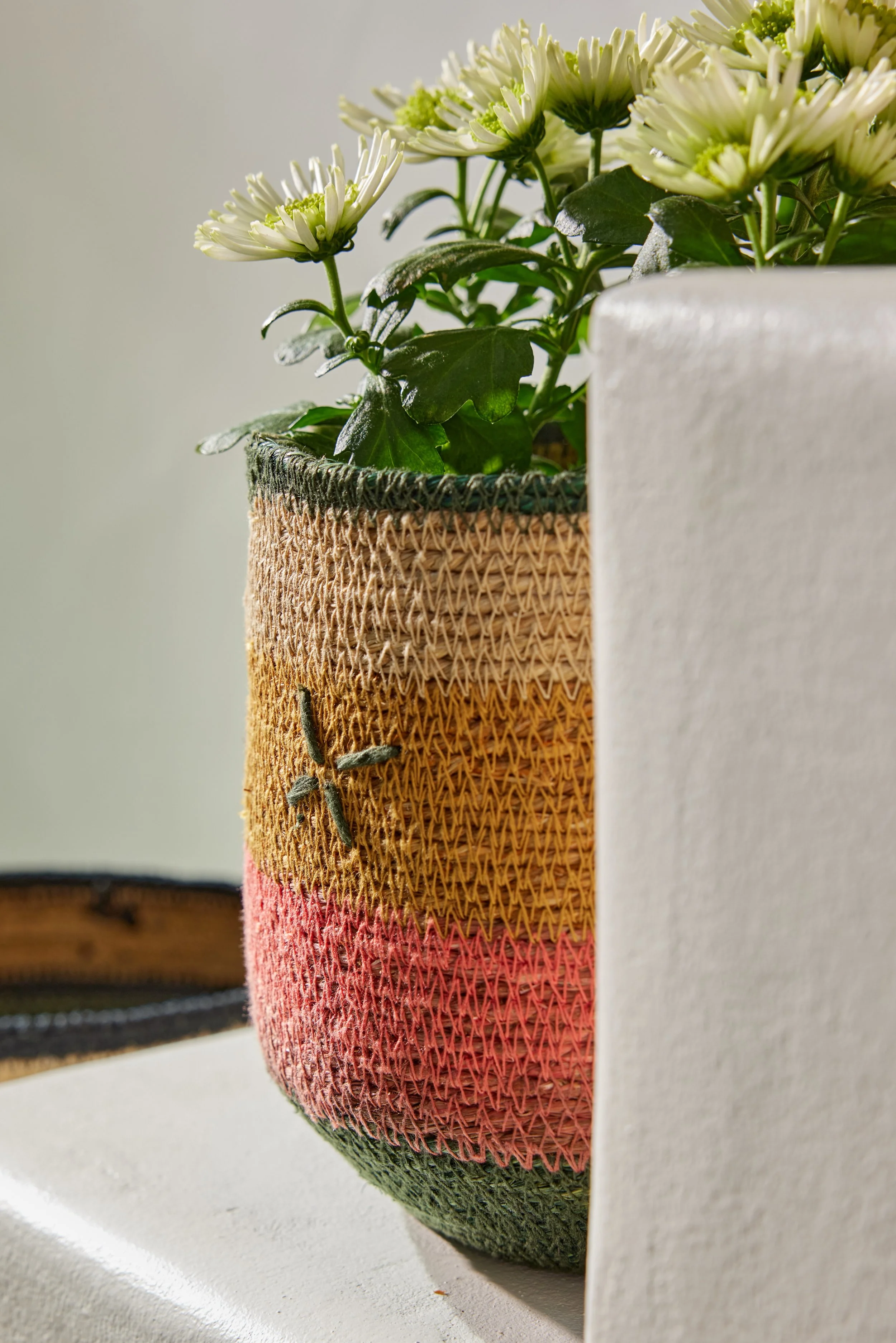 PANIER POT CORAL.jpg