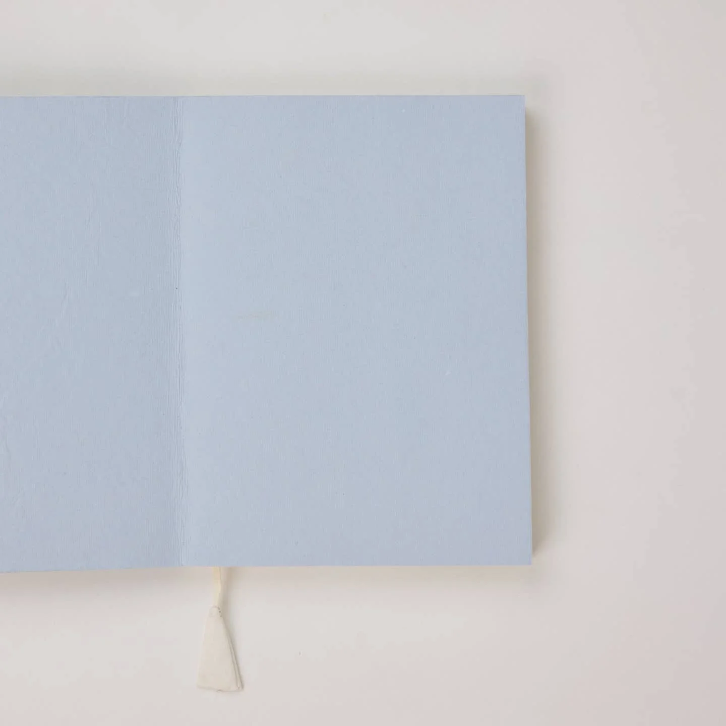 A5 Notebook - Songbird Blue3.jpeg