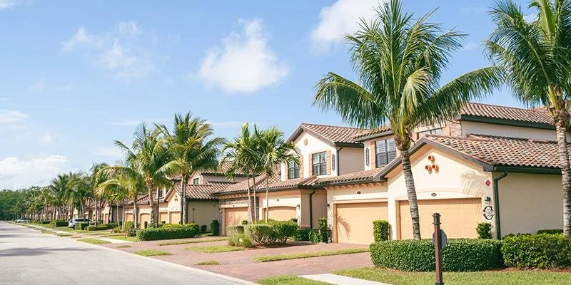 Row of suburban houses with palm trees in front, paved drives, and a clear blue sky.