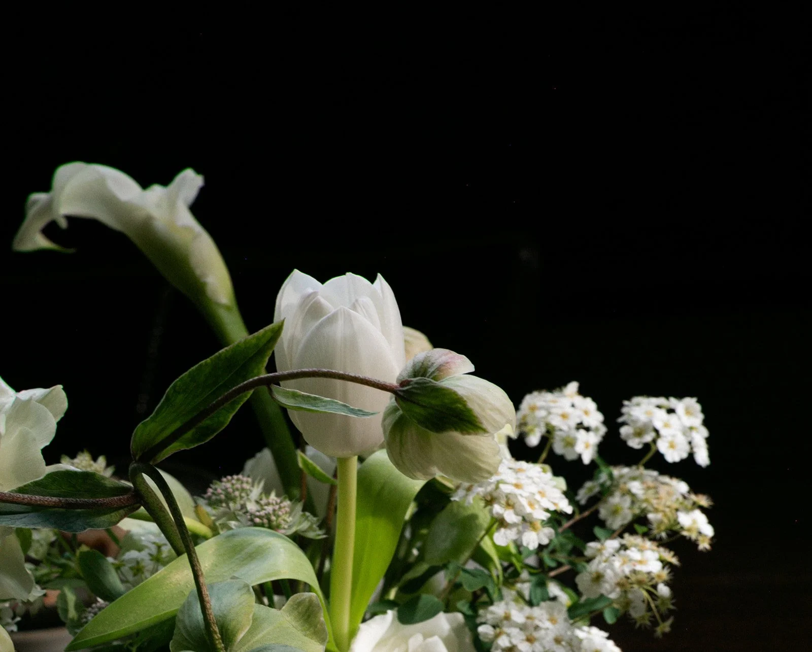courthouse wedding a la carte wedding flowers elopement bouquet spring wedding flowers the cottage rose full service wedding florist kansas city crossroads kaley from kansas fox and pearl