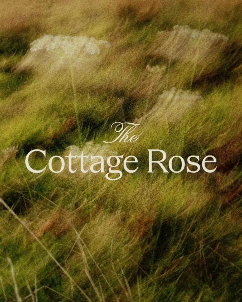 My new logo is so f*cking sexy. DON&rsquo;T WE ALL AGREE?! @victoriageorgesalloi 
.
.
#thecottagerose | Kansas City wedding florist | destination wedding florist | modern florals | event floral design | custom floral arrangements | full service weddi